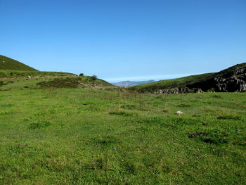 Scenic view of field against clear blue sky