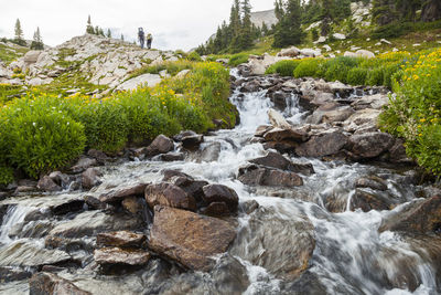 Scenic view of waterfall