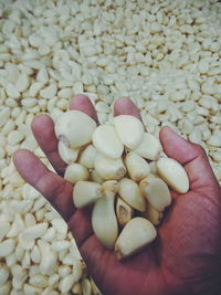 Close-up of hand holding vegetables