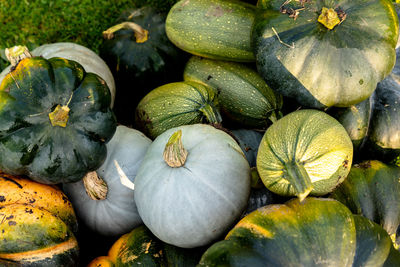 Full frame shot of pumpkin