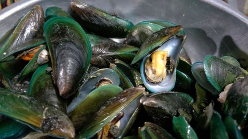 Close-up of fish for sale in market