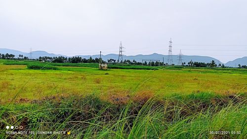 Scenic view of field against sky