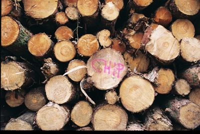 Full frame shot of wooden logs