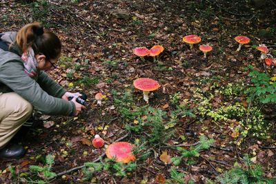 Woman photographing mushrooms at forest