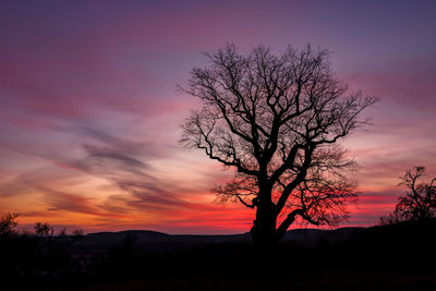 Silhouette bare tree on field against sky at sunset