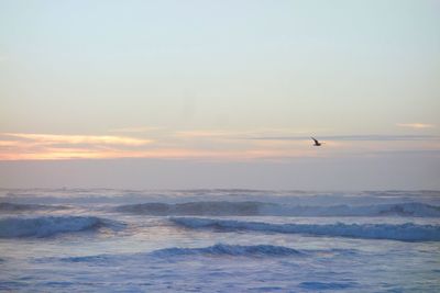Bird flying over sea against sky
