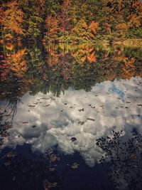 Reflection of trees in lake against sky