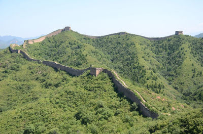 Scenic view of forest against clear sky