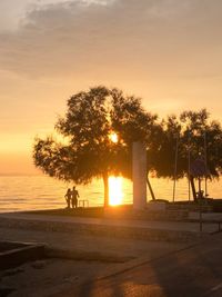 Silhouette trees on beach against sky during sunset