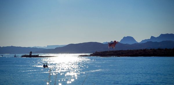 People on boat in sea against clear blue sky