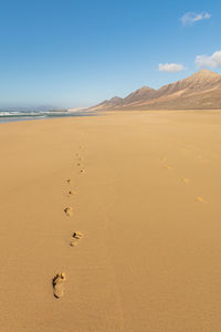 Sand dune in desert against sky