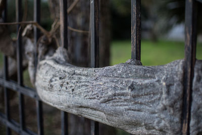 Close-up of metal wood