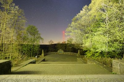 Trees in park at night