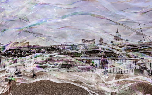 Digital composite image of plants and rocks