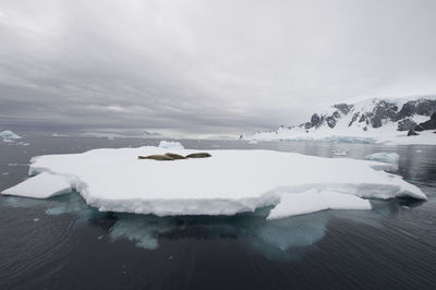 Scenic view of frozen sea against sky