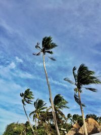 Low angle view of palm tree against sky