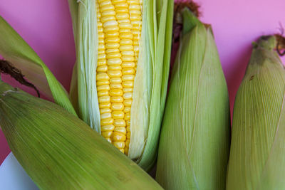 High angle view of vegetables