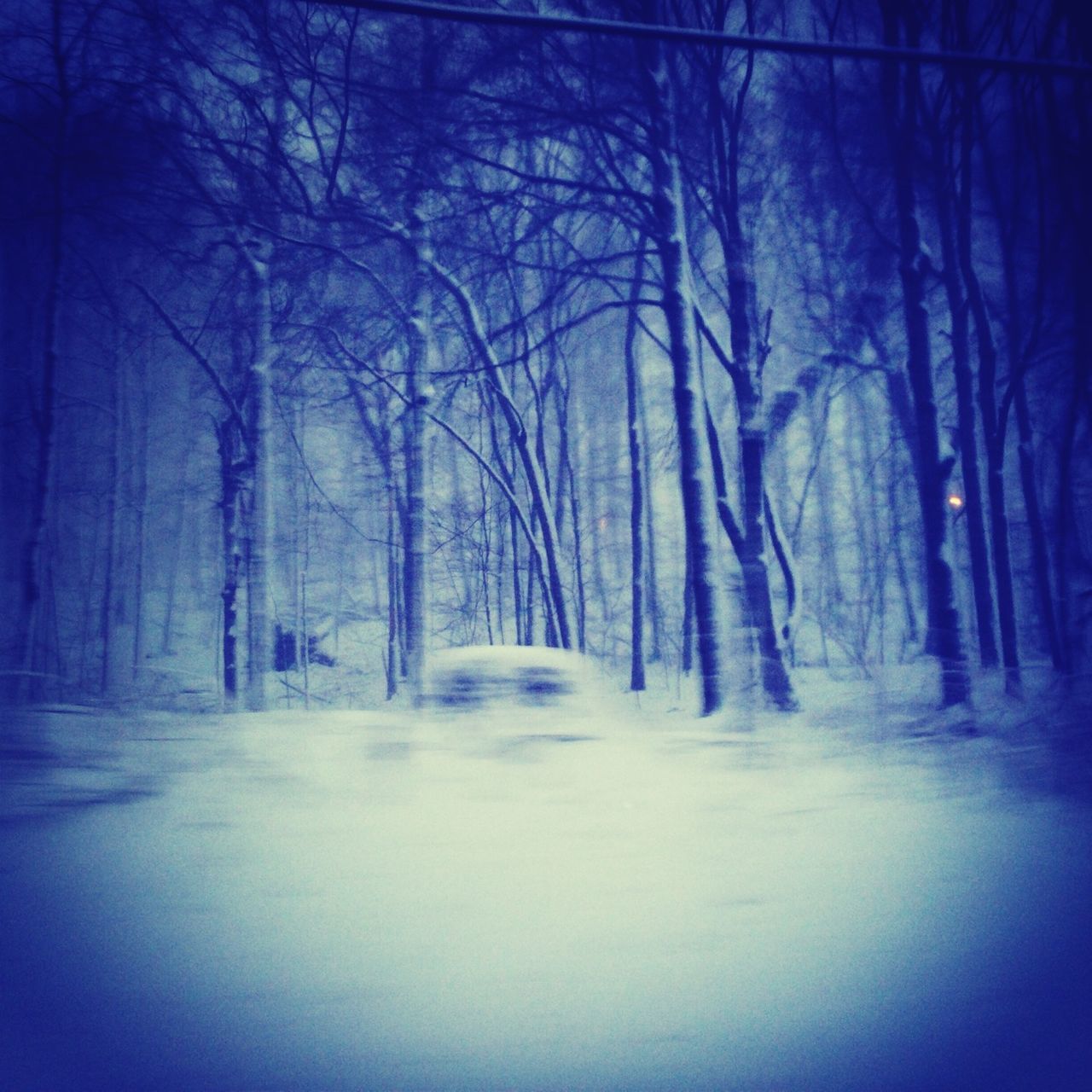 the way forward, tree, road, diminishing perspective, transportation, bare tree, vanishing point, tranquility, night, street, nature, illuminated, empty, forest, tranquil scene, no people, auto post production filter, long, outdoors, treelined