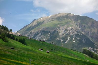 Scenic view of green landscape against sky