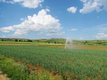 Scenic view of agricultural field against sky