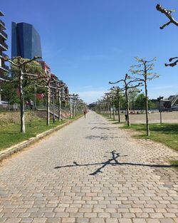 Empty road along trees