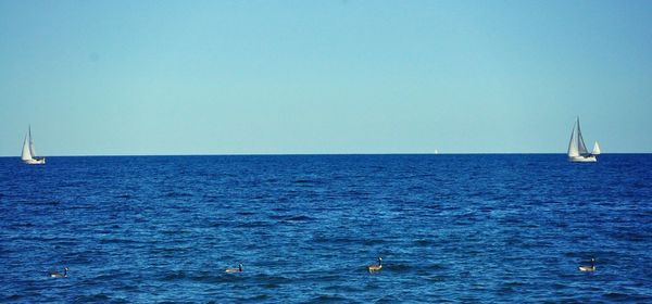 Scenic view of sea against clear sky