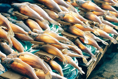 Close-up of fish for sale