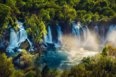 View of waterfall in forest