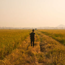 Rear view of man walking on field