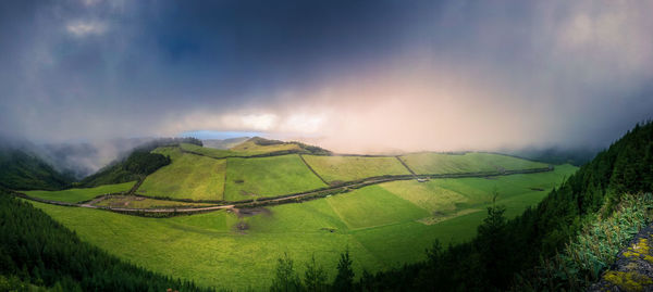 Scenic view of agricultural field against sky