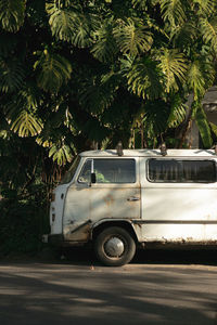 Side view of car on road against trees