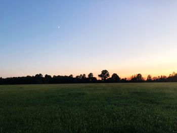 Scenic view of field against clear sky during sunset