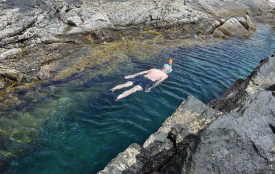 High angle view of birds swimming on rock