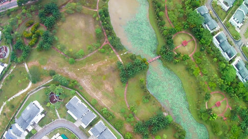 High angle view of trees in city