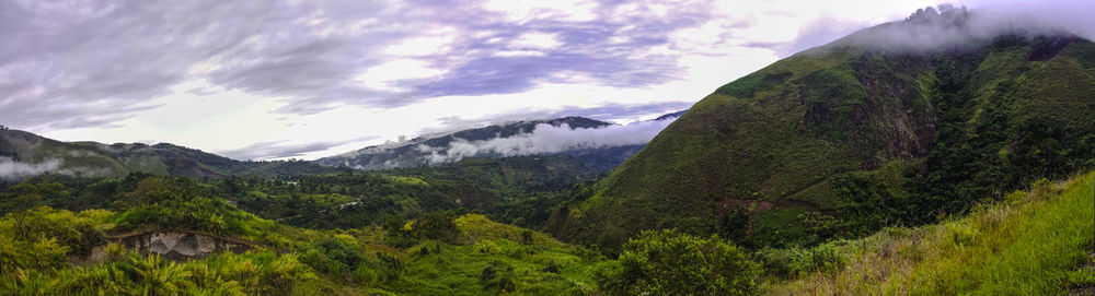 mountain