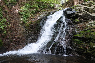 Scenic view of waterfall in forest