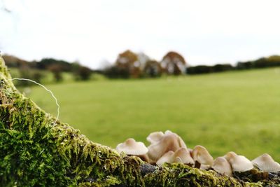 Surface level of land against sky