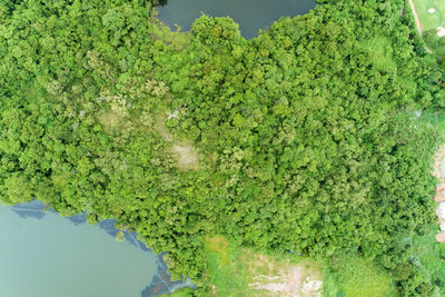 Scenic view of green landscape against sky