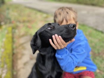  dog looking away outdoors