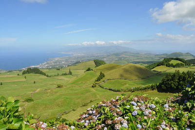 Scenic view of landscape against cloudy sky