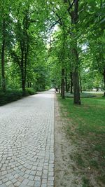 Footpath amidst trees in park