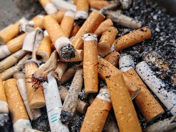 High angle view of cigarette butts