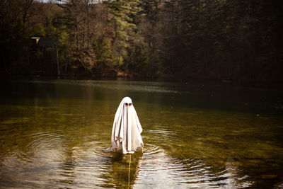 Ghost wearing sunglasses standing in a lake 