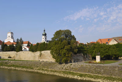 Trees and buildings against sky