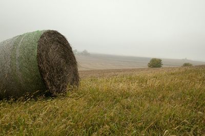 Scenic view of grassy field against sky