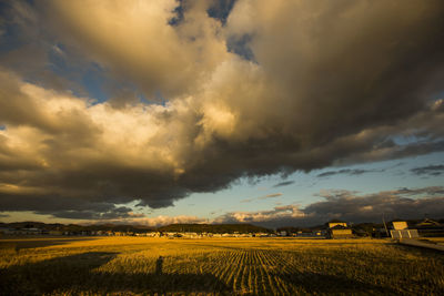 Scenic view of agricultural field against sky during sunset