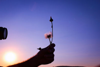 Cropped hand of man photographing flower and buds against clear sky during sunset