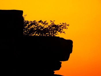 Close-up of silhouette tree against sky during sunset