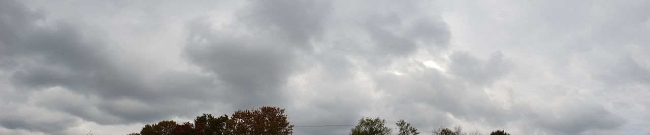 Low angle view of trees against cloudy sky