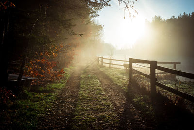 Narrow pathway along landscape